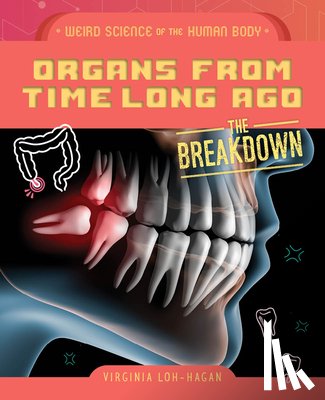 Loh-Hagan, Virginia - Organs from Time Long Ago