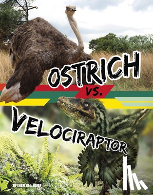 Hofer, Charles C. - Ostrich vs. Velociraptor