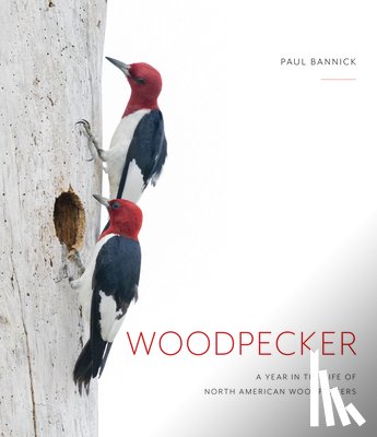 Bannick, Paul - Woodpecker: A Year in the Life of North American Woodpeckers
