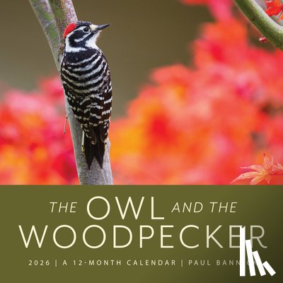 Bannick, Paul - The Owl & the Woodpecker 2026: 12-Month Wall Calendar