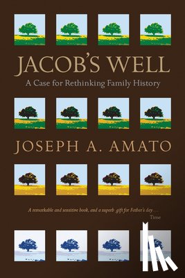 Amato, Joseph A. - Jacob's Well