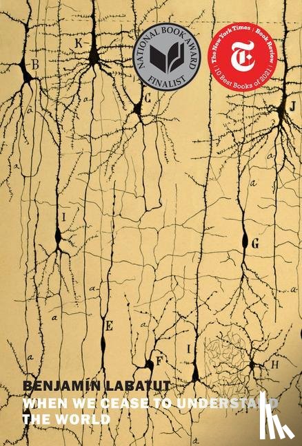 Labatut, Benjamin - Labatut, B: When We Cease to Understand the World