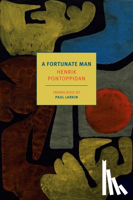 Pontoppidan, Henrik, Larkin, Paul - A Fortunate Man