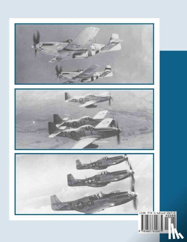 Turner Publishing - 339th Fighter Group