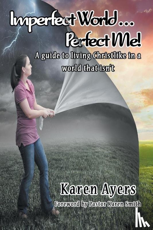 Ayers, Karen - Imperfect World . . . Perfect Me!