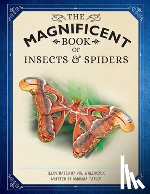 Owen, Weldon - The Magnificent Book of Insects and Spiders