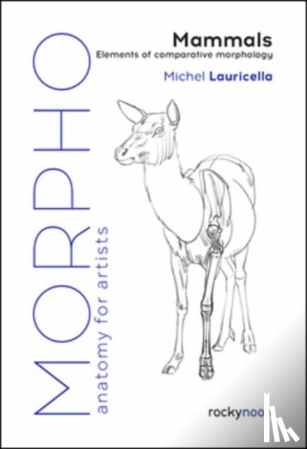 Lauricella, Michel - Morpho: Mammals