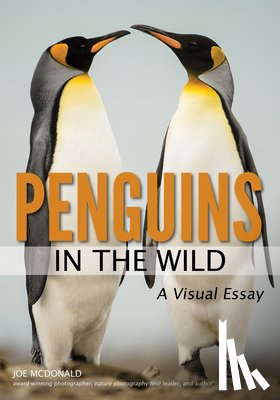 Joe McDonald - Penguins In The Wild