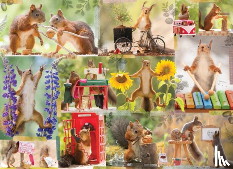 Weggen, Geert - Gettin' Squirrelly 1000-Piece Puzzle