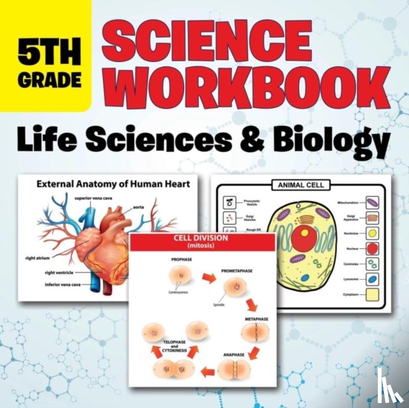 Baby Professor - 5th Grade Science Workbook