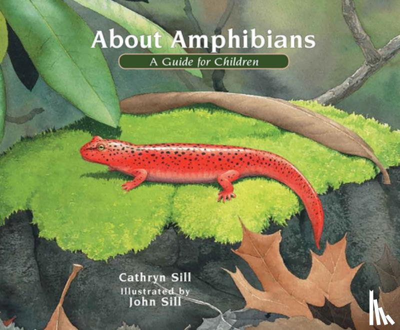 Sill, Cathryn - About Amphibians