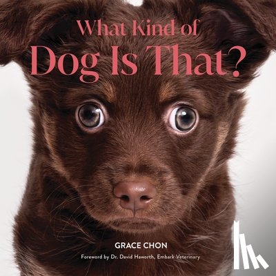 Chon, Grace - What Kind of Dog Is That?