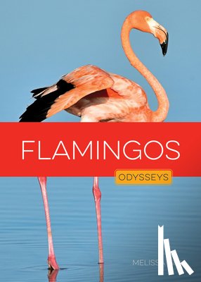 Gish, Melissa - Flamingos