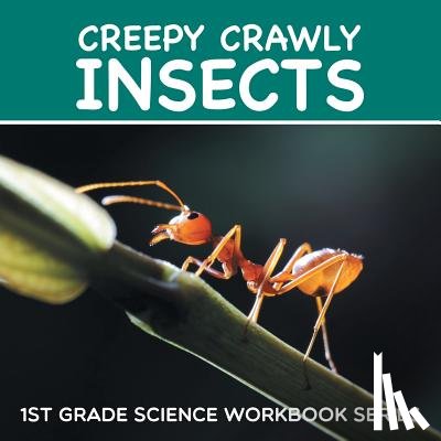 Baby Professor - Creepy Crawly Insects