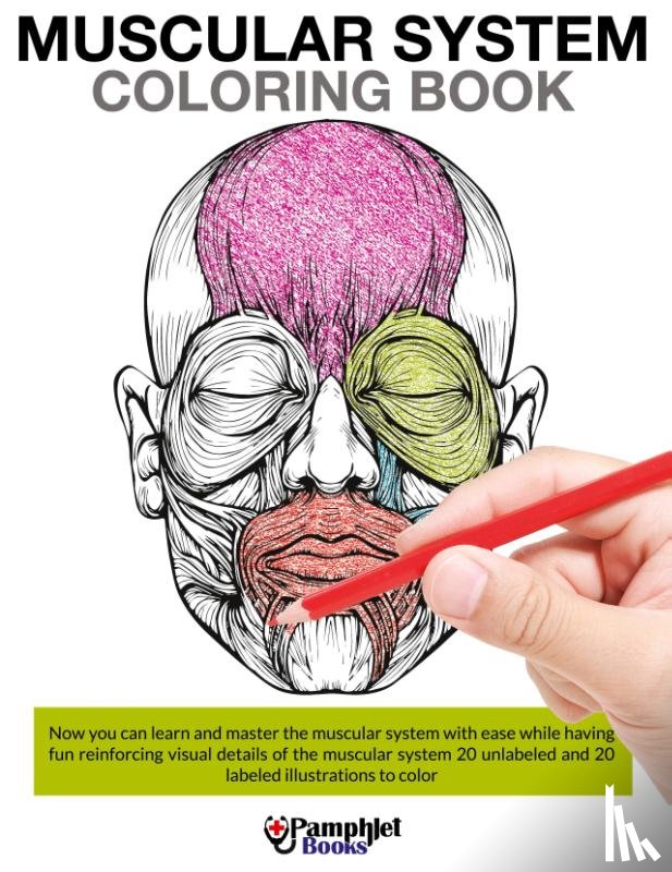 Books, Pamphlet - Muscular System Coloring Book