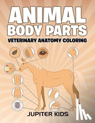 Jupiter Kids - Animal Body Parts