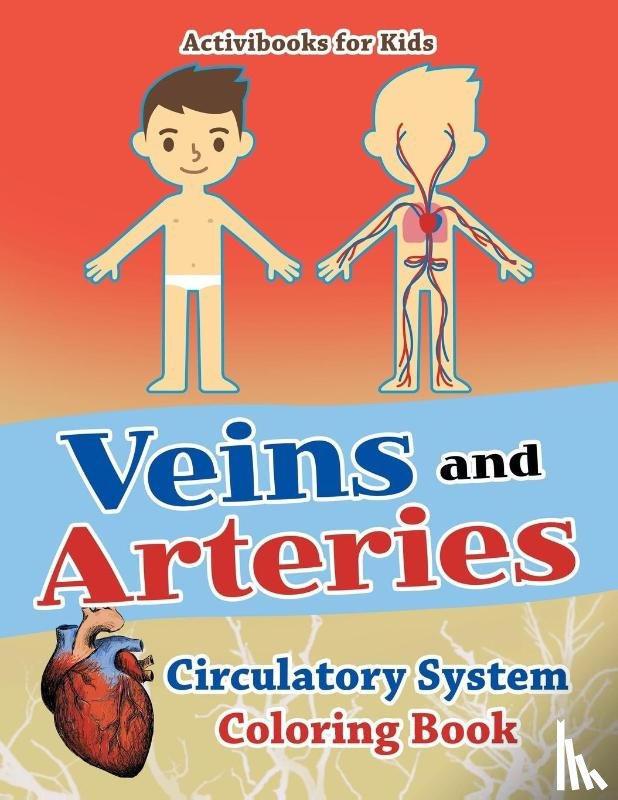 For Kids, Activibooks - Veins and Arteries