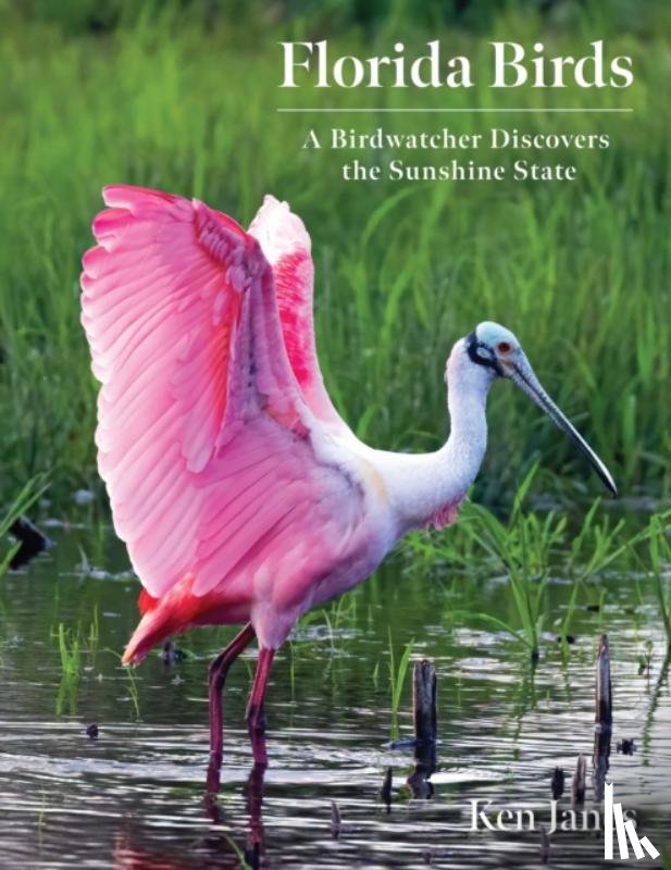 Janes, Ken - Florida Birds