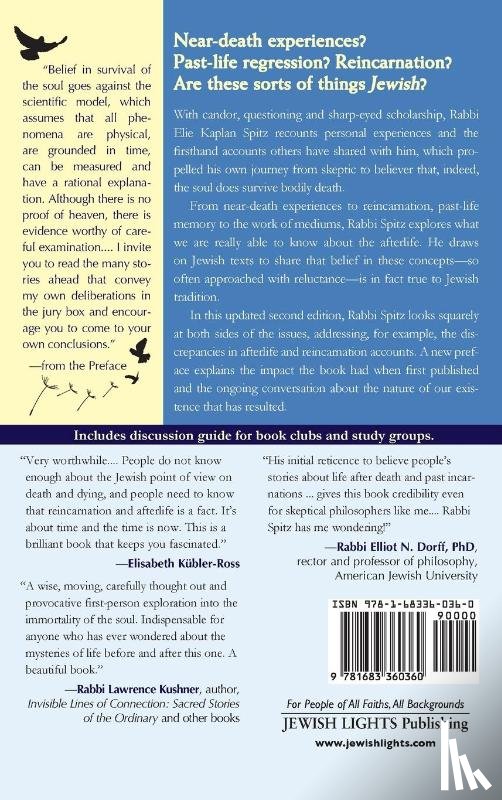 Spitz, Rabbi Elie Kaplan - Does the Soul Survive? (2nd Edition)