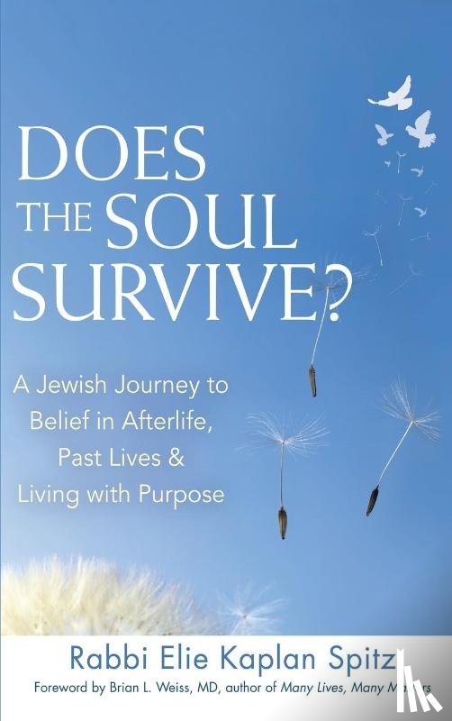 Spitz, Rabbi Elie Kaplan - Does the Soul Survive? (2nd Edition)