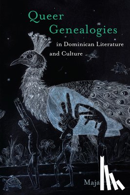 Horn, Maja - Queer Genealogies in Dominican Literature and Culture