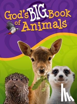 Kashtan, Orit - God's Big Book of Animals