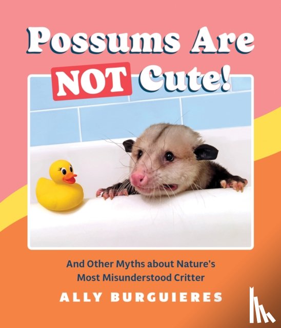 Burguieres, Ally - Possums Are Not Cute