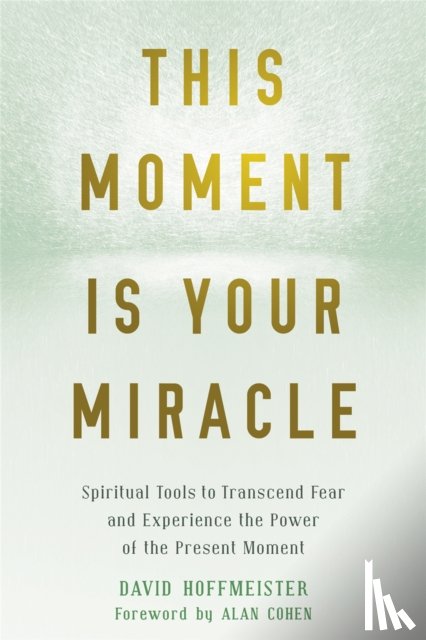 Hoffmeister, David - This Moment Is Your Miracle