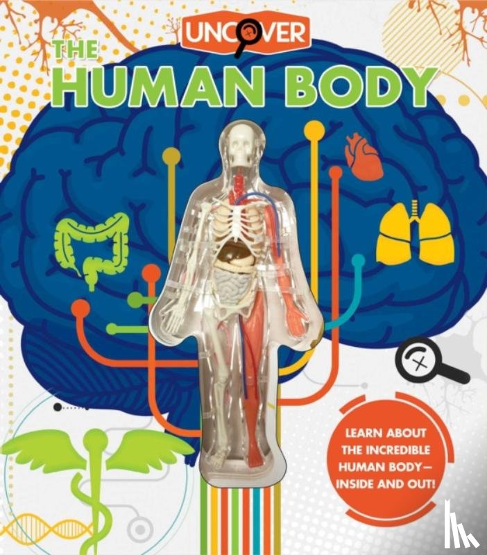 Colombo, Luann - Uncover the Human Body