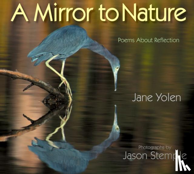 Yolen, Jane - Mirror to Nature, A