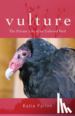 Fallon, Katie - Vulture – The Private Life of an Unloved Bird