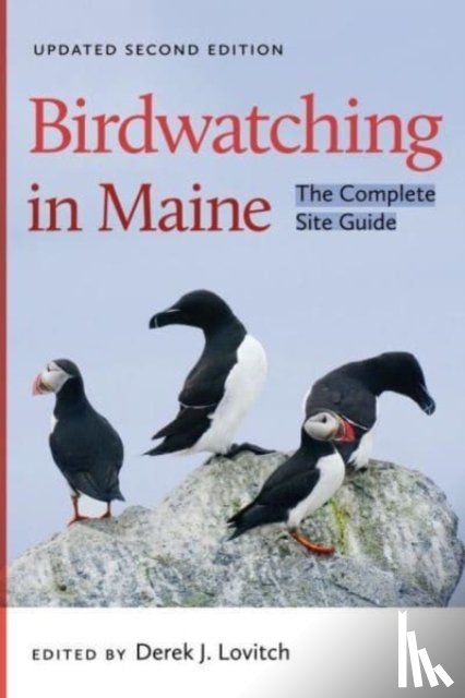 Lovitch, Derek J. - Birdwatching in Maine