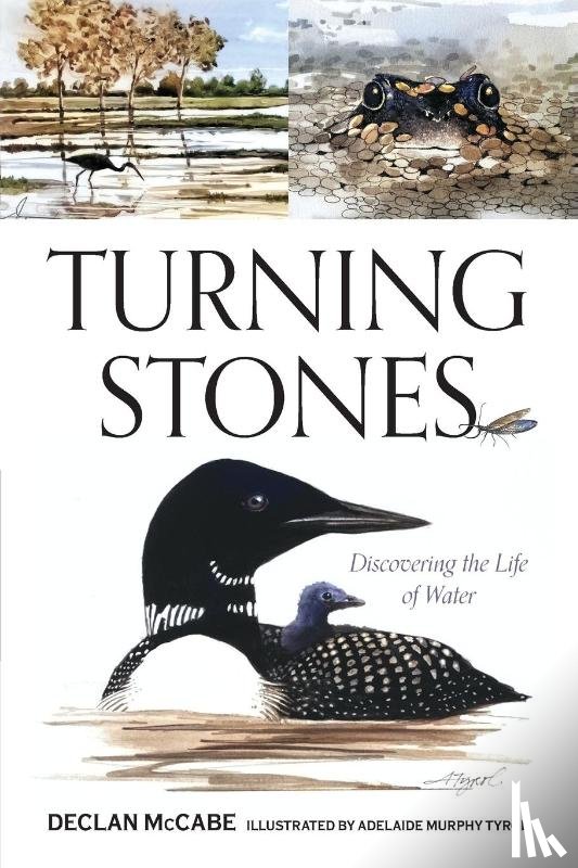 McCabe, Declan - Turning Stones
