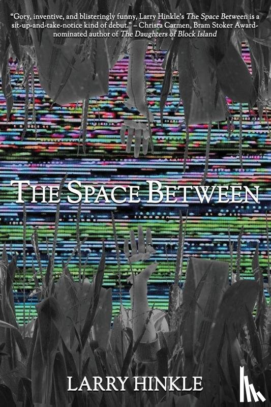 Hinkle, Larry - The Space Between