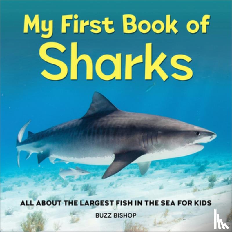 Bishop, Buzz - MY FBO SHARKS