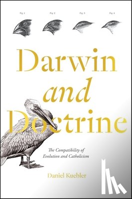 Kuebler, Daniel - Darwin and Doctrine: The Compatibility of Evolution and Catholicism