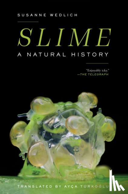 Wedlich, Susanne - Slime