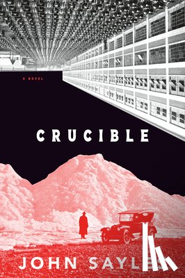 Sayles, John - Crucible