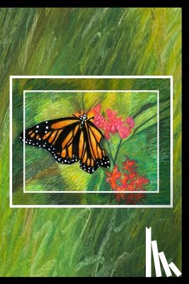 Hunter, Katrina N - Butterfly Journal - Blank Journal (Paperback)