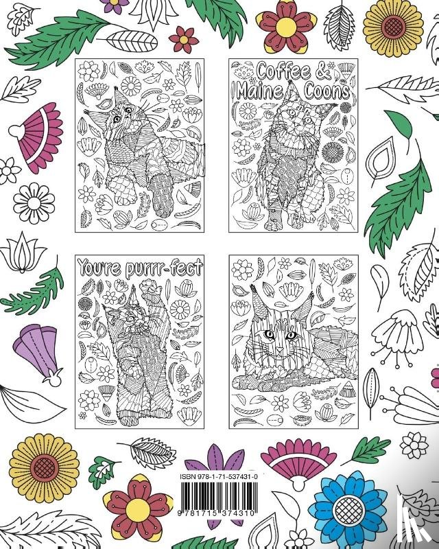 Paperland - Maine Coon Coloring Book
