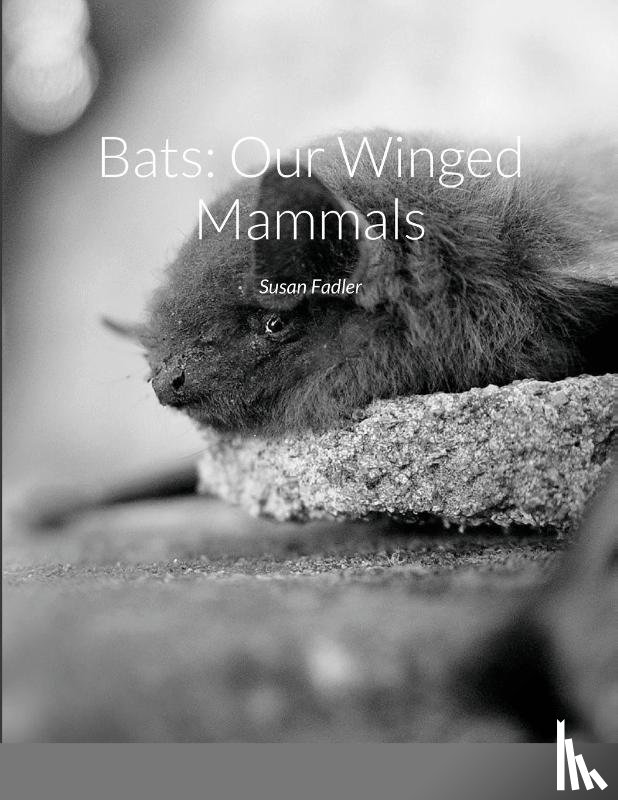 Fadler, Susan - Bats