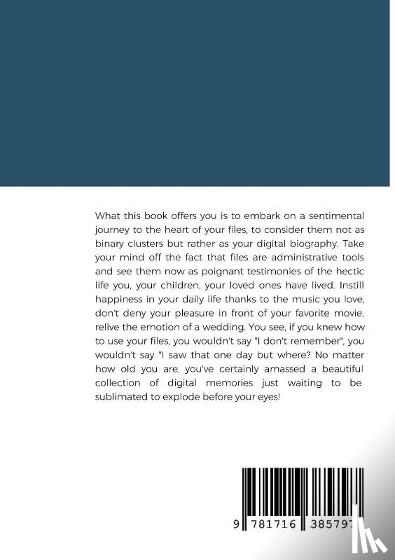 Bolnet, Lionel - Overcoming Digital Mess