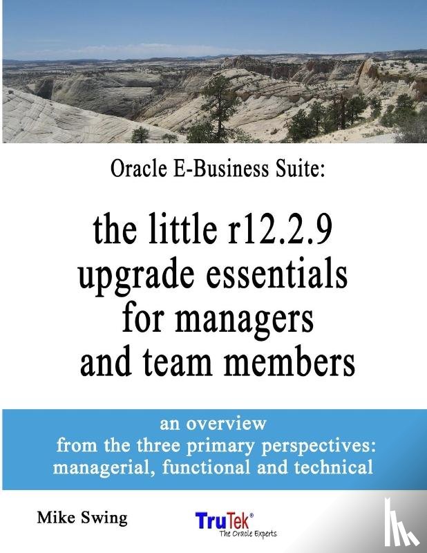 Mike Swing, Swing - Oracle E-Business Suite
