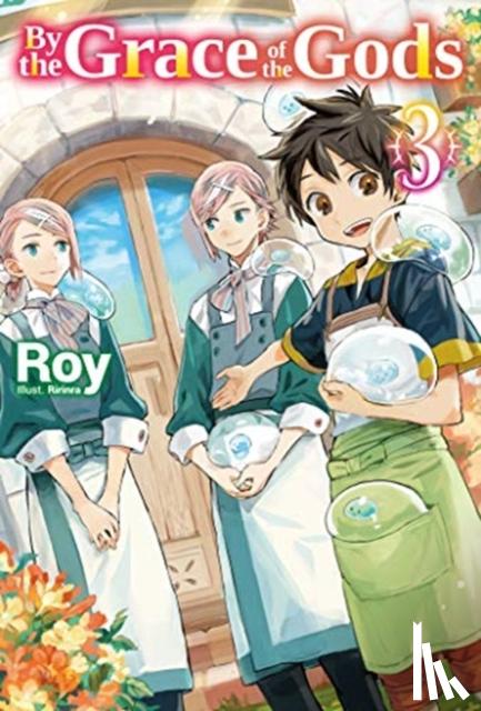 Roy - By the Grace of the Gods: Volume 3