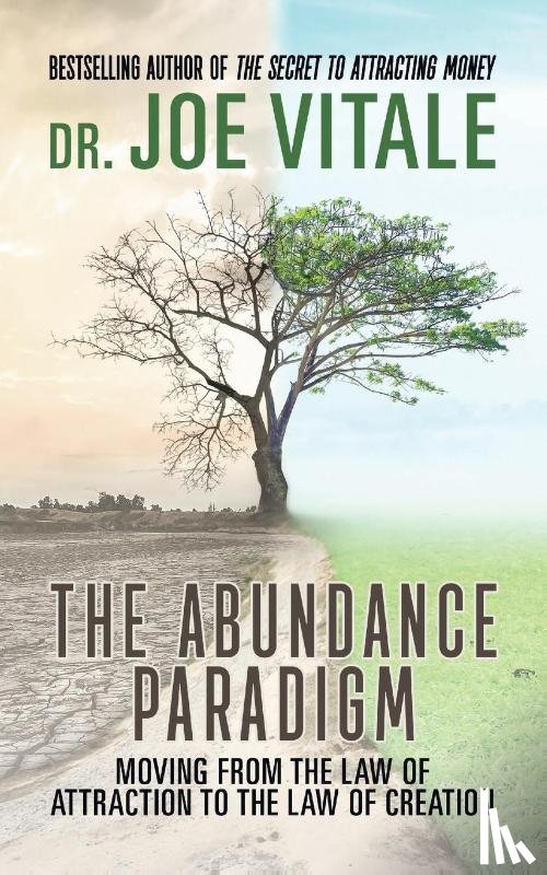 Vitale, Joe - The Abundance Paradigm