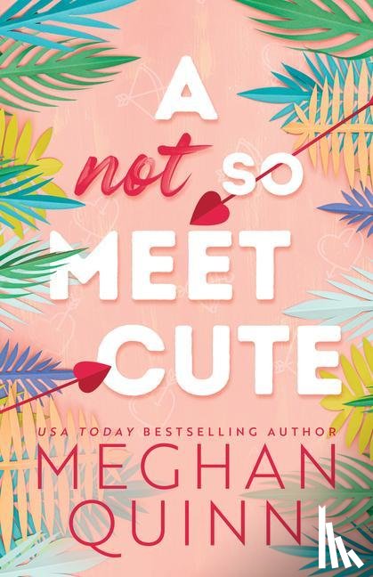 Quinn, Meghan - Quinn, M: Not So Meet Cute