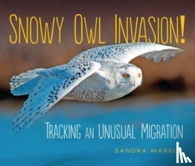 Markle, Sandra - Snowy Owl Invasion!