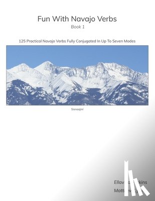 Lyon, Matthew - Fun With Navajo Verbs Book 1 Sisnaajiní: 125 Navajo Verbs Fully Conjugated In Up To Seven Modes