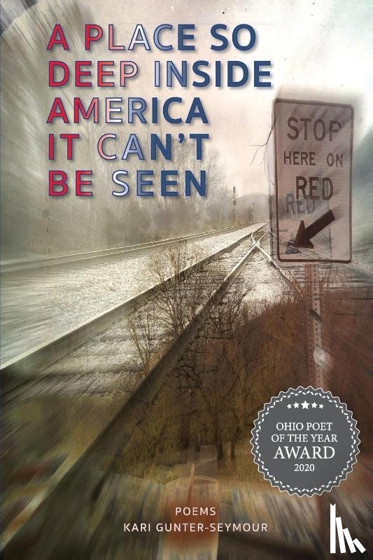 Gunter-Seymour, Kari - A Place So Deep Inside America It Can't Be Seen