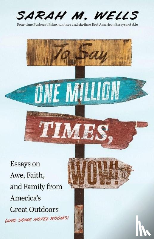 Wells, Sarah M. - To Say One Million Times, Wow!